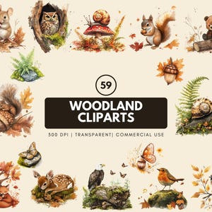 Watercolor Woodland Animal Clipart Bundle: Forest Nursery Art (PNG, 4096x4096 px)