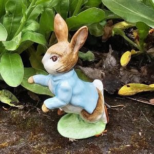 May include: A ceramic figurine of Peter Rabbit from Beatrix Potter's children's book. The figurine is painted in brown, blue, and white, and depicts Peter Rabbit standing on a green leaf.