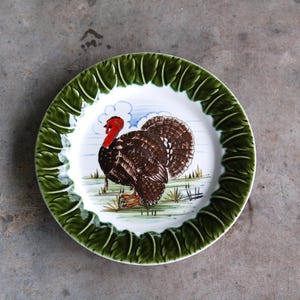 Può includere: Un piatto in ceramica verde e bianco con un'illustrazione di tacchino marrone e bianco. Il piatto ha un bordo verde decorativo.