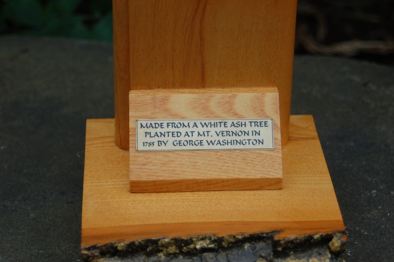 Vernon White Ash Wood Bookend ~ Bookend Made From A White Ash Tree Planted At MT Vernon in 1785 by George Washington 232 year old Mt