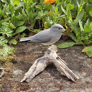 Puede incluir: Figurita de pájaro gris posada sobre un trozo de madera flotante. El pájaro tiene una apariencia detallada y realista. El fondo presenta follaje verde y flores naranjas, creando un entorno natural. El pájaro mide aproximadamente 13 cm de largo.