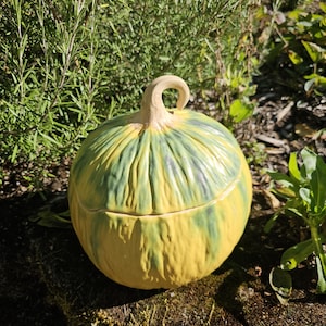 Pode incluir: Um recipiente de cerâmica em forma de abóbora com tampa. O recipiente é pintado em tons de amarelo e verde, com um caule bege. O recipiente está sobre uma superfície musgosa, com folhagem verde ao fundo.