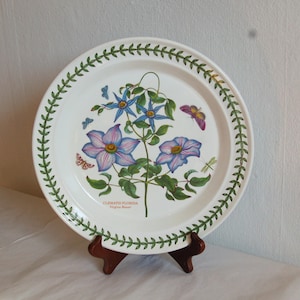 Vtg Portmeirion Botanic Garden, Susan Williams-Ellis, Blue Passion Flower, 10.25" Speiseteller ~ Made in Britain ~ Exzellenter Zustand