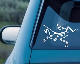 Archaeopteryx Skeleton Vinyl Decal, Car/Laptop/Window/Bottle Decal, Customizable Size, Multiple Colors Available, Gift for Outdoor Lovers