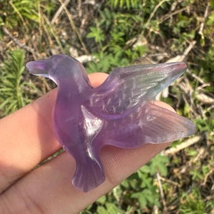 2,3 &#39;&#39;+ natürlicher lila Fluorit Quarz, handgeschnitzt, Kristall Kolibri, Kolibri Schädel, Dekoration Kristall Geschenke 1Stk