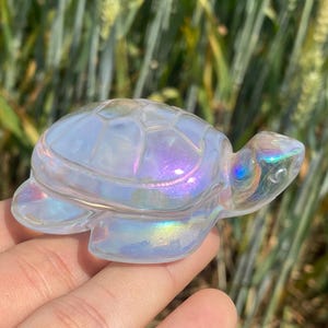 Puede incluir: Pequeña figura de tortuga de cristal iridiscente. La figura tiene un patrón de caparazón detallado y se sostiene en una mano. El cristal refleja un arcoíris de colores, incluyendo azul, morado y verde. El fondo está borroso, con follaje verde.