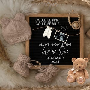 Digital Pregnancy Announcement, Digital Baby Reveal, Social Media Editable Template, Gender Neutral Announcement, Boho Pregnancy Reveal