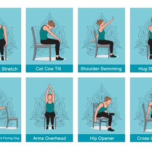 30 Chair Yoga Exercise in our Guide for Seniors Wheelchair Users Home Balance Stability 30Day Challenge Workout Physical Therapy Pilates PDF image 3