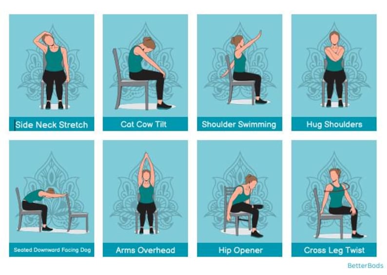30 Chair Yoga Exercise in our Guide for Seniors Wheelchair Users Home Balance Stability 30Day Challenge Workout Physical Therapy Pilates PDF image 3