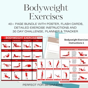 32 Bodyweight Exercises for Seniors Back Pain Nerve Home Workout Pilates Flexibility 30Day 12 Week Challenge Physical Therapy PDF Download