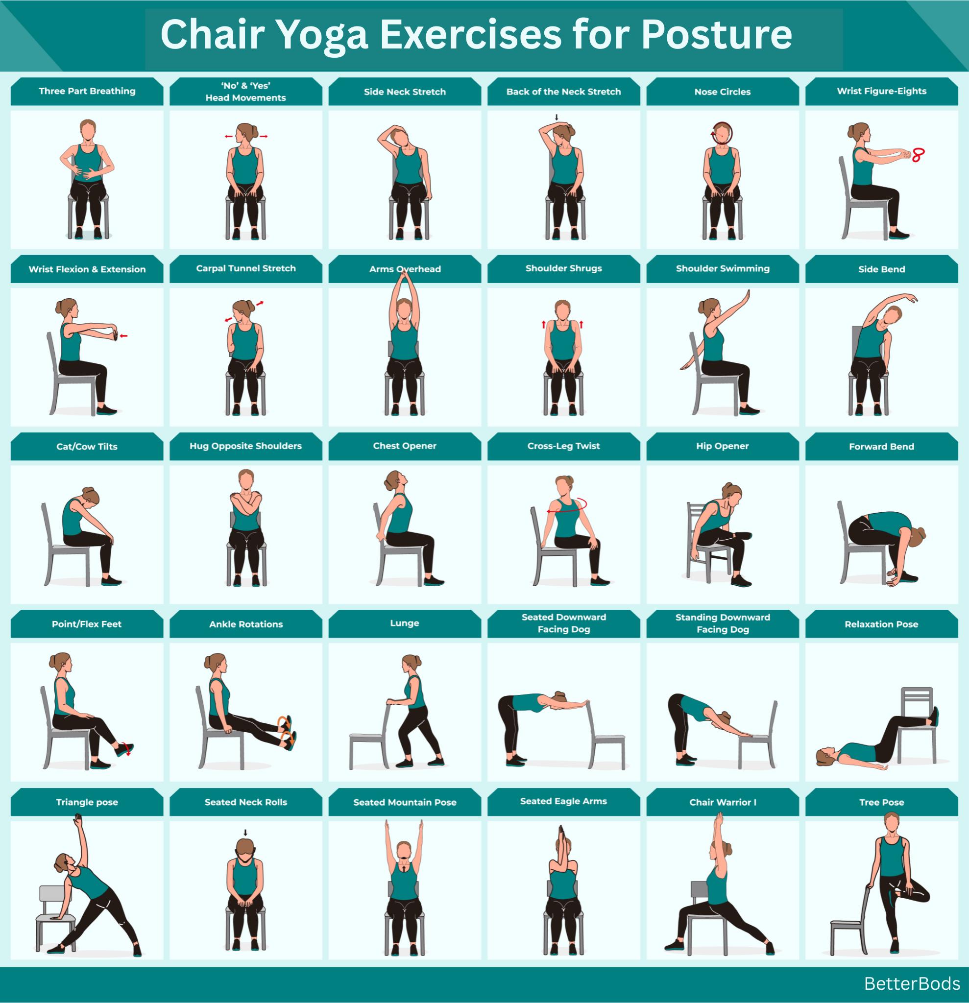 Printable Gym Ball Exercises For Back Pain Pdf Productive