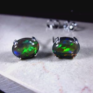 May include: A pair of oval-shaped black opal stud earrings. The opals display vibrant flashes of green, blue, and orange. Each opal is set in a silver-colored metal setting with four prongs. The earrings are displayed on a light-colored surface.