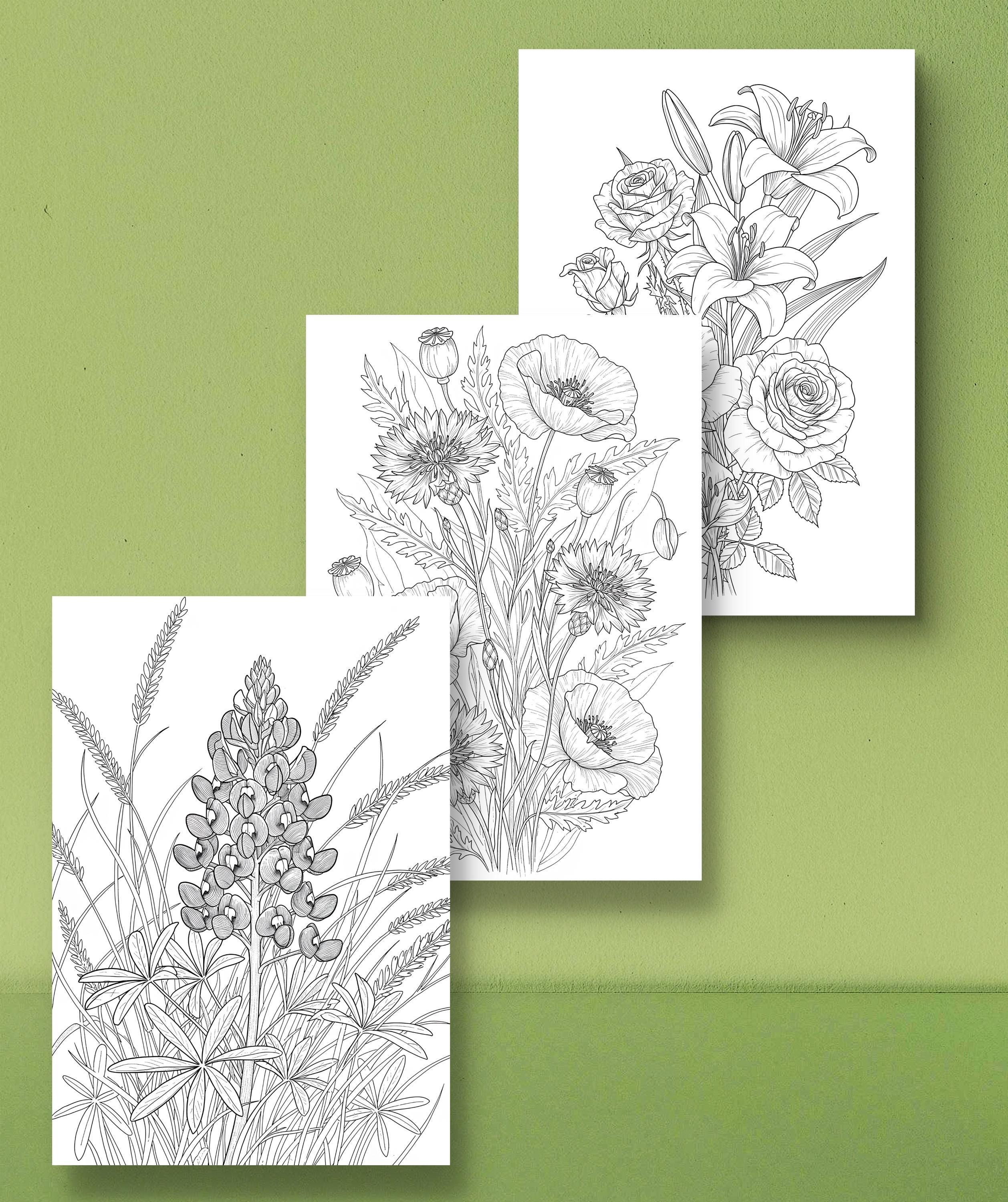 Printable Flower Coloring Pages for Adults | Floral Coloring Sheets ...