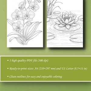 May include: Two black and white line art illustrations. One depicts an orchid plant, the other a water lily in a pond. The image includes text: 1 high-quality PDF file, ready-to-print sizes A4 (210x297 mm) and US Letter (8.5x11 in), and clean outlines.