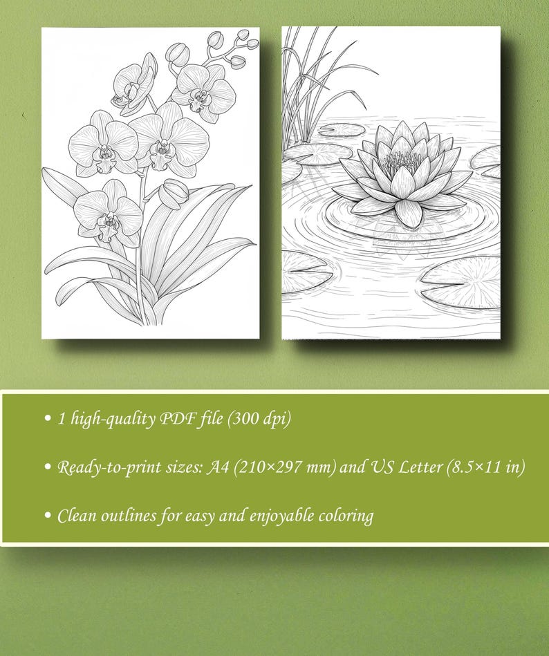 May include: Two black and white line art illustrations. One depicts an orchid plant, the other a water lily in a pond. The image includes text: 1 high-quality PDF file, ready-to-print sizes A4 (210x297 mm) and US Letter (8.5x11 in), and clean outlines.