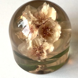 Vintage Lucite/Acrylic Paperweight Signed W. Rolfe Pale Pink Azalea Flower Bloom