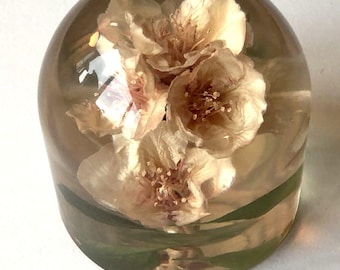 May include: A clear glass dome paperweight with a cluster of delicate, dried, light brown flowers inside.