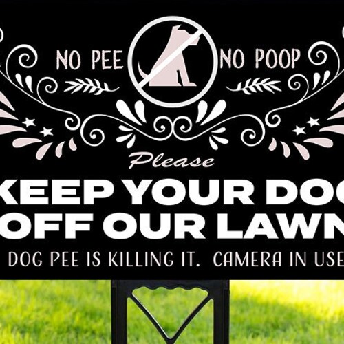 Does Dog Pee And Poop Kill Grass