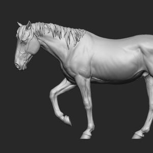 May include: A light gray, unpainted horse figurine in a walking pose. The model features detailed muscle definition, a flowing mane, and a long tail. The horse is captured from a side profile view, showcasing its anatomical structure and posture.