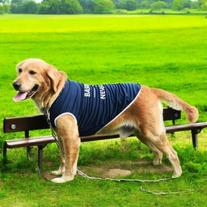 Breathable Lightweight Dog Shirts for Medium & Large Breeds – Ideal for Golden Retrievers, Huskies and Collies, Comfy Summer Pet Tees