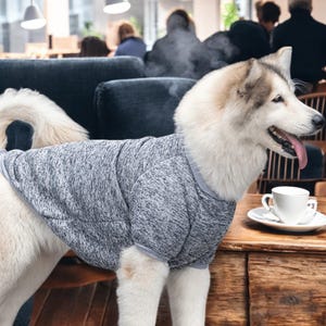 Lightweight Dog Shirts for Medium & Large Breeds – Perfect for Golden Retrievers, Huskies and Collies, Breathable Summer Pet Apparel Tshirts