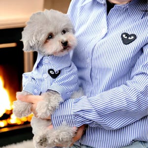 Matching pet and owner clothes - Pet and owner shirts for spring and autumn, Lightweight and comfy - Twinning outfit for pet and parent
