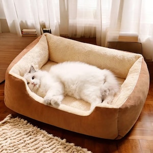 Cozy Cat Beds & Accessories | Fluffy Cushions, Houses, Baskets for Kittens and Pets | Comfy Breathable Pet Supplies for Cats and Dogs