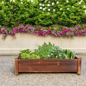 Hochbeet / Holzbeet / Großbeet - Holzbeet / Hochbeet für den Außenbereich