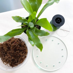 May include: A staghorn fern in a green plastic pot, a clear plastic container filled with brown sphagnum moss, a circular clear glass disc with small evenly spaced holes along the perimeter, and a spool of green wire with a thin metal needle.