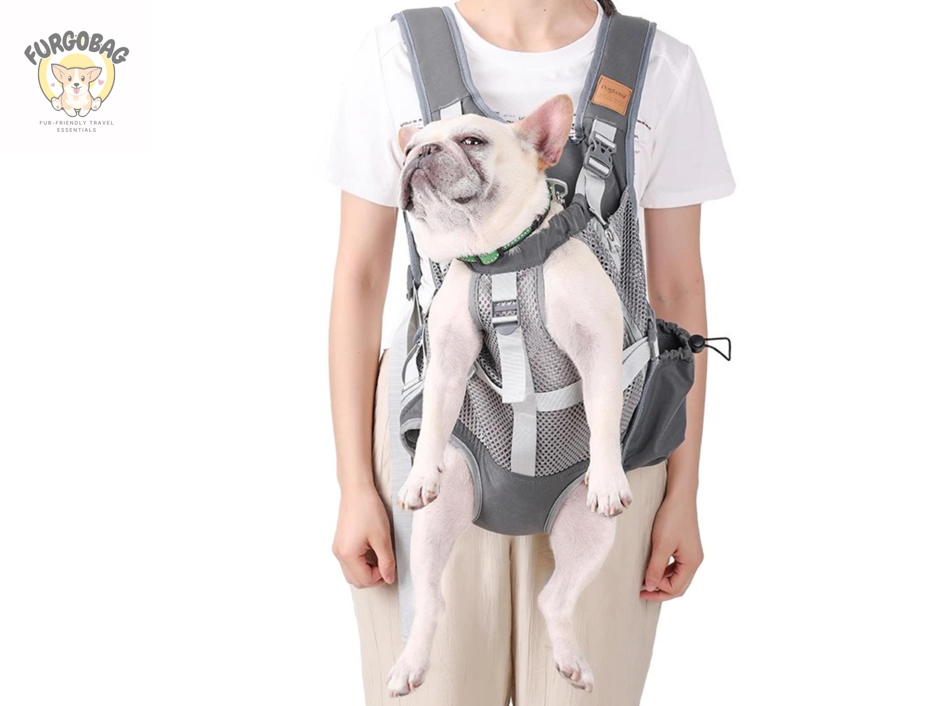 Breathable Hands-Free Dog Carrier Backpack – Adjustable, Legs-Out Pet Travel Bag for Small Dogs, Hiking & Biking