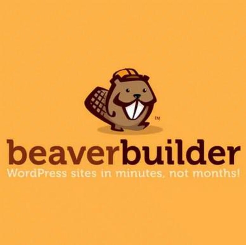 Beaver Builder Pro - Page Builder Plugin, Lifetime Updates, GPL image 4
