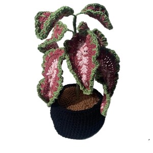 Peut inclure: Une plante crochetée avec de grandes feuilles détaillées dans des tons de rose et de bordeaux, bordées de vert. La plante est dans un pot noir crocheté avec un intérieur marron, créant un objet décoratif unique et fait à la main.