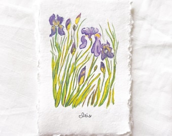 Iris Wildflower Watercolor Print, February Birth Flower, Handmade Paper, 4x6 inches, Botanical Wall Art