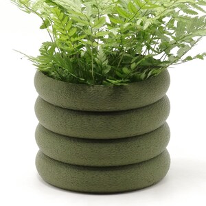 Può includere: Una felce in vaso con un vivace fogliame verde. Il vaso è in ceramica verde oliva strutturata con un design circolare impilato. Lo sfondo è bianco.