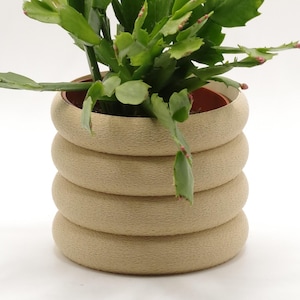 Può includere: Una pianta di cactus di Natale verde in un vaso di ceramica beige a forma di anelli impilati. La pianta ha più steli con foglie piatte e segmentate e piccoli boccioli rosa. Il vaso ha una superficie strutturata e un interno marrone.