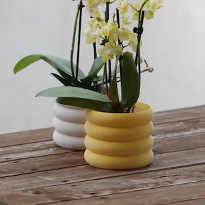 Può includere: Due orchidee in vaso con fiori bianchi e gialli. Le piante sono in vasi decorativi, uno bianco e uno giallo. I vasi hanno un design strutturato ad anelli impilati. Le piante poggiano su una superficie di legno.