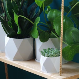 Pode incluir: Uma prateleira de madeira com suportes de corda exibe várias plantas em vasos. Os vasos geométricos brancos contêm várias plantas verdes, incluindo uma suculenta. A prateleira está contra uma parede azul-petróleo.