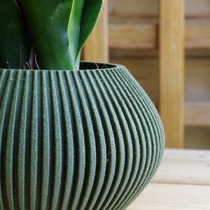 Può includere: Un vaso in ceramica verde con un design a coste. Il vaso è vuoto e si trova su una superficie di legno.