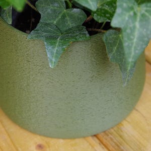 Può includere: Un vaso rotondo di colore verde, con una texture, con una pianta verde frondosa che cresce al suo interno. La pianta è un tipo di edera con foglie di colore verde scuro.