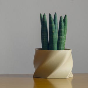 Puede incluir: Una planta serpiente en maceta con hojas verdes en una maceta de cerámica beige y retorcida. La maceta está sobre una superficie de madera.