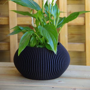 Può includere: Un vaso in ceramica nero con nervature con una pianta verde con fiori bianchi. Il vaso è rotondo e ha un'ampia apertura.