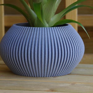 Puede incluir: Una maceta de cerámica azul claro con nervaduras y una planta verde en su interior. La maceta tiene una forma redondeada y una superficie texturizada.