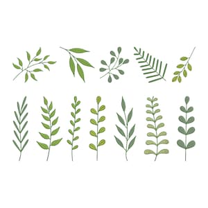 Puede incluir: Una colección de ilustraciones de hojas verdes dibujadas a mano. Las hojas varían en forma y tamaño, algunas con múltiples hojas pequeñas y otras con una sola forma alargada. La paleta de colores incluye tonos de verde, de claro a oscuro.