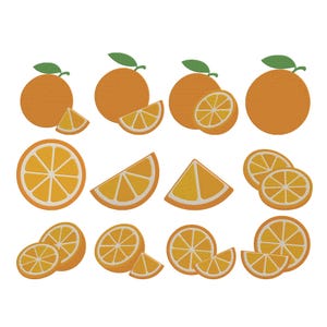 Op de afbeelding: Een collectie van twaalf geborduurde sinaasappelmotieven met hele sinaasappels met groene blaadjes, sinaasappelschijfjes en sinaasappelpartjes. Elk ontwerp toont een levendige oranje kleur met witte details aan de binnenkant.
