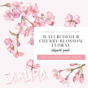 Imágenes prediseñadas de flor de cerezo / Imágenes prediseñadas de flor de Sakura en acuarela / Gráficos de Sakura en acuarela para teléfono / Descarga instantánea / Descarga PNG