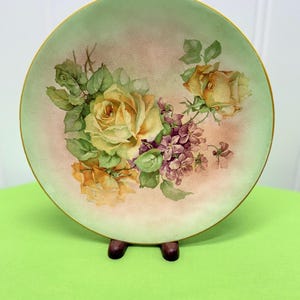 Limoges antique hand painted porcelain plate