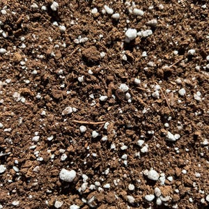 May include: Close-up of potting soil mix, showing dark brown soil with visible white perlite pieces. The texture is coarse and granular, suitable for gardening. The image provides a detailed view of the soil composition.