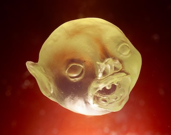 baby bat boy resin translucent head cast, desk art, home art, fun times