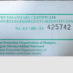 May include: A white document with green borders, featuring text in English and Hungarian. The document includes the title "PHYTOSANITARY CERTIFICATE" and the number 425742. It also mentions the Plant Protection Organization of Hungary.