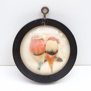 May include: A circular wall hanging featuring two birds crafted from orange, cream, and black feathers. The birds are positioned on a branch against a cream background, enclosed in a black frame with a metal hanging loop at the top.